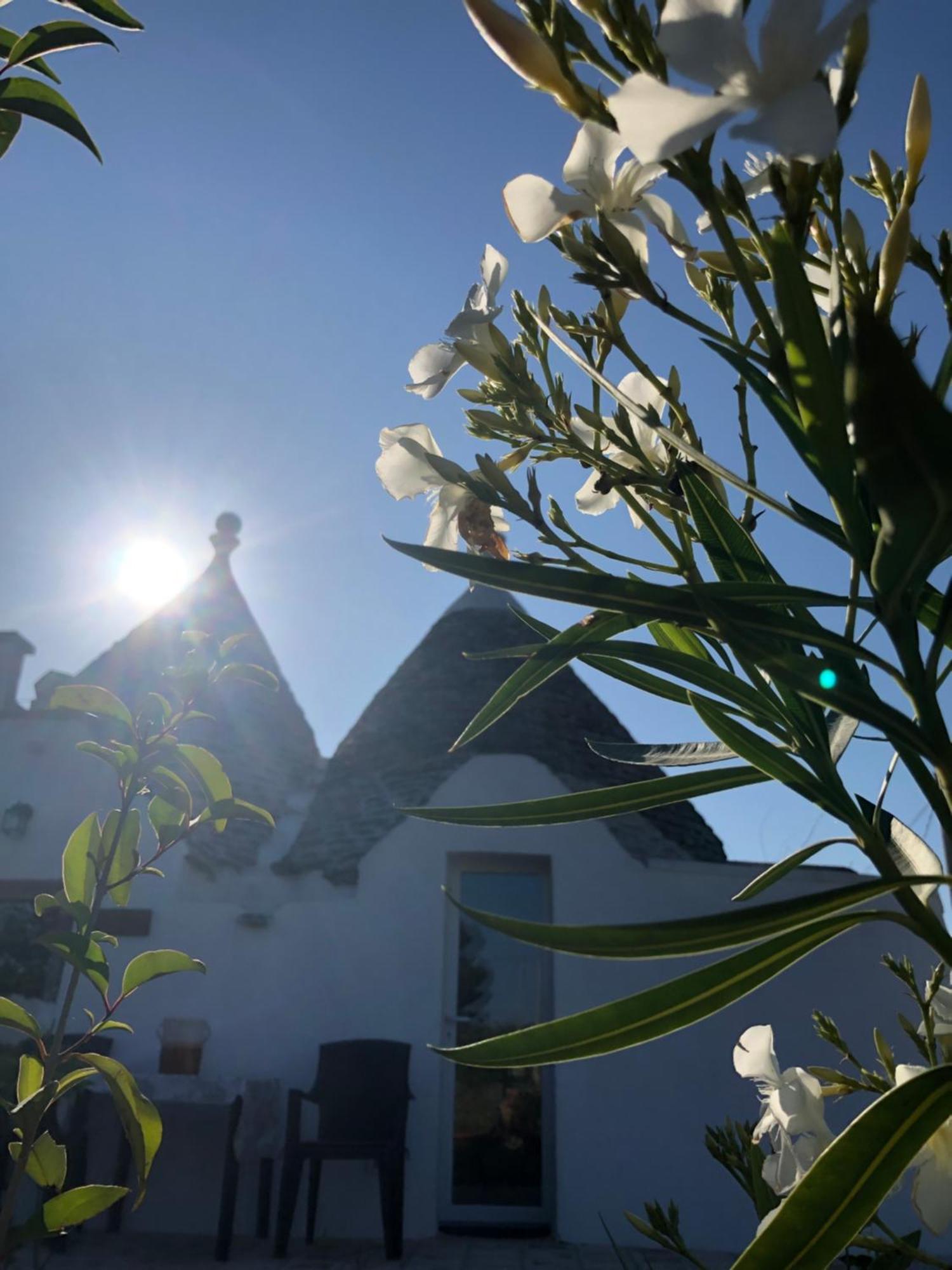 Trullo Trilli Puglia Villa Martina Franca Ngoại thất bức ảnh