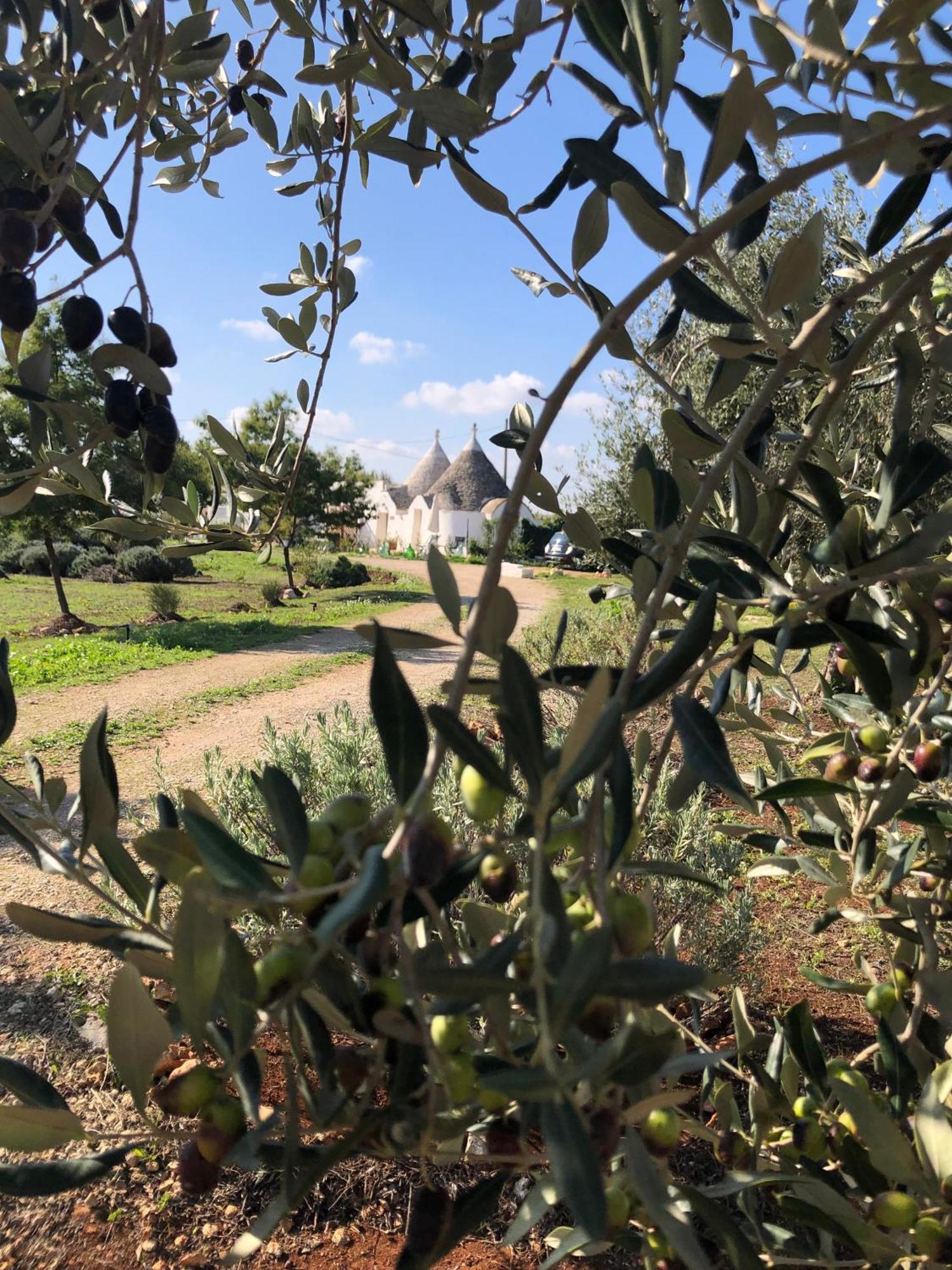 Trullo Trilli Puglia Villa Martina Franca Ngoại thất bức ảnh