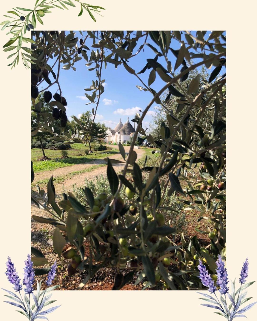 Trullo Trilli Puglia Villa Martina Franca Ngoại thất bức ảnh